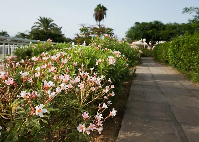 Bungalow En Maspalomas, Los Melocotones